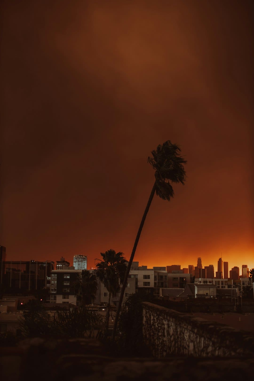 宋佳佟丽娅电影《轻于鸿毛》七夕定量点映 带上姐妹一同高兴动身